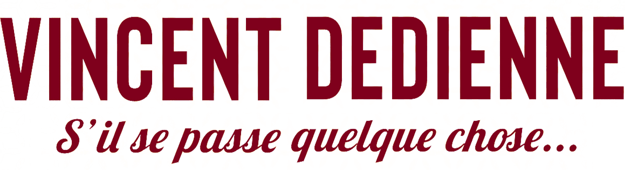 Vincent Dedienne : « S'il se passe quelque chose »