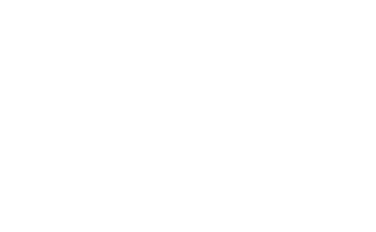 Prime Suspect USA
