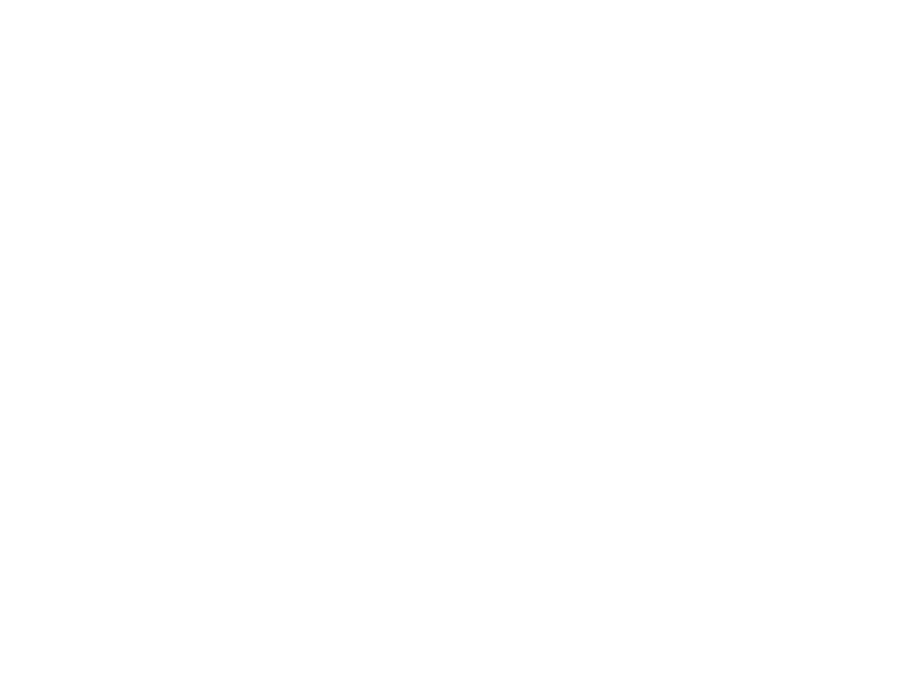 La plus belle étoile de Noël