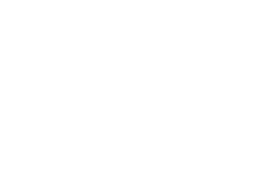Le plus beau char de Noël