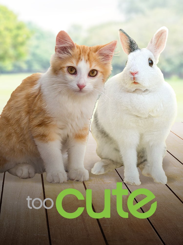 Too cute (Trop mignon)