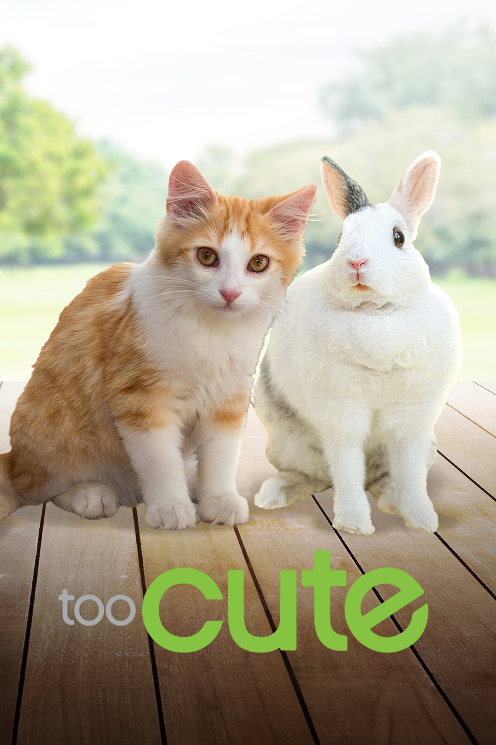 Too cute (Trop mignon)