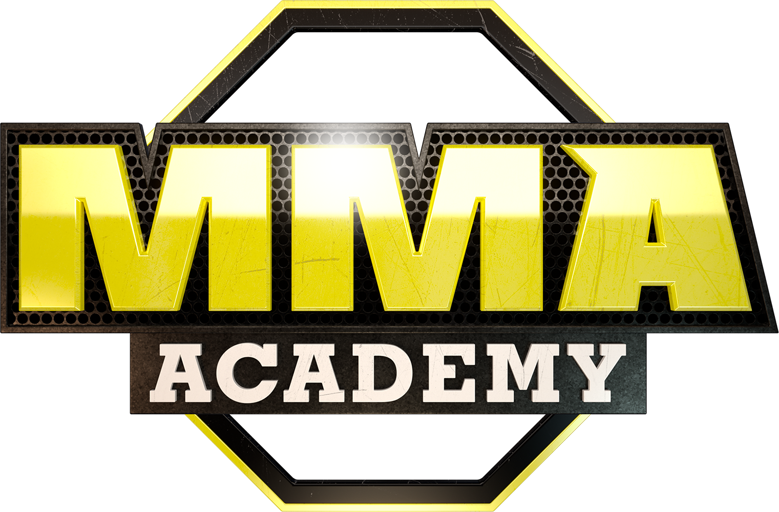 MMA Academy
