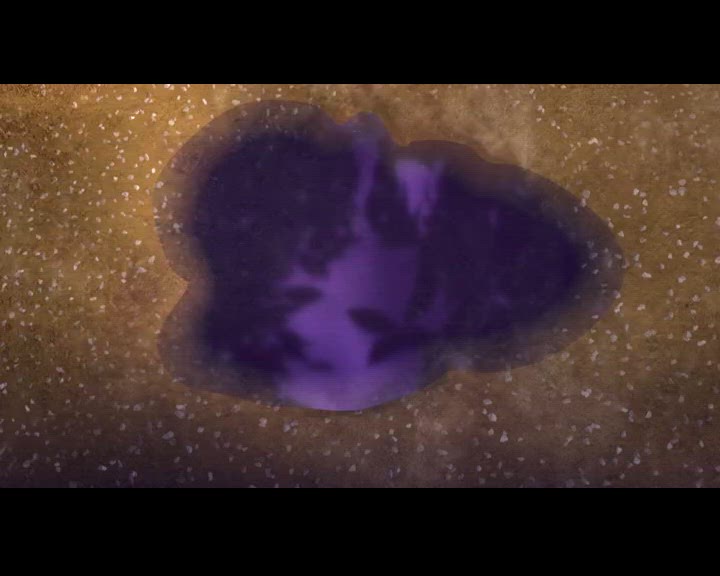 L'esprit de compétition