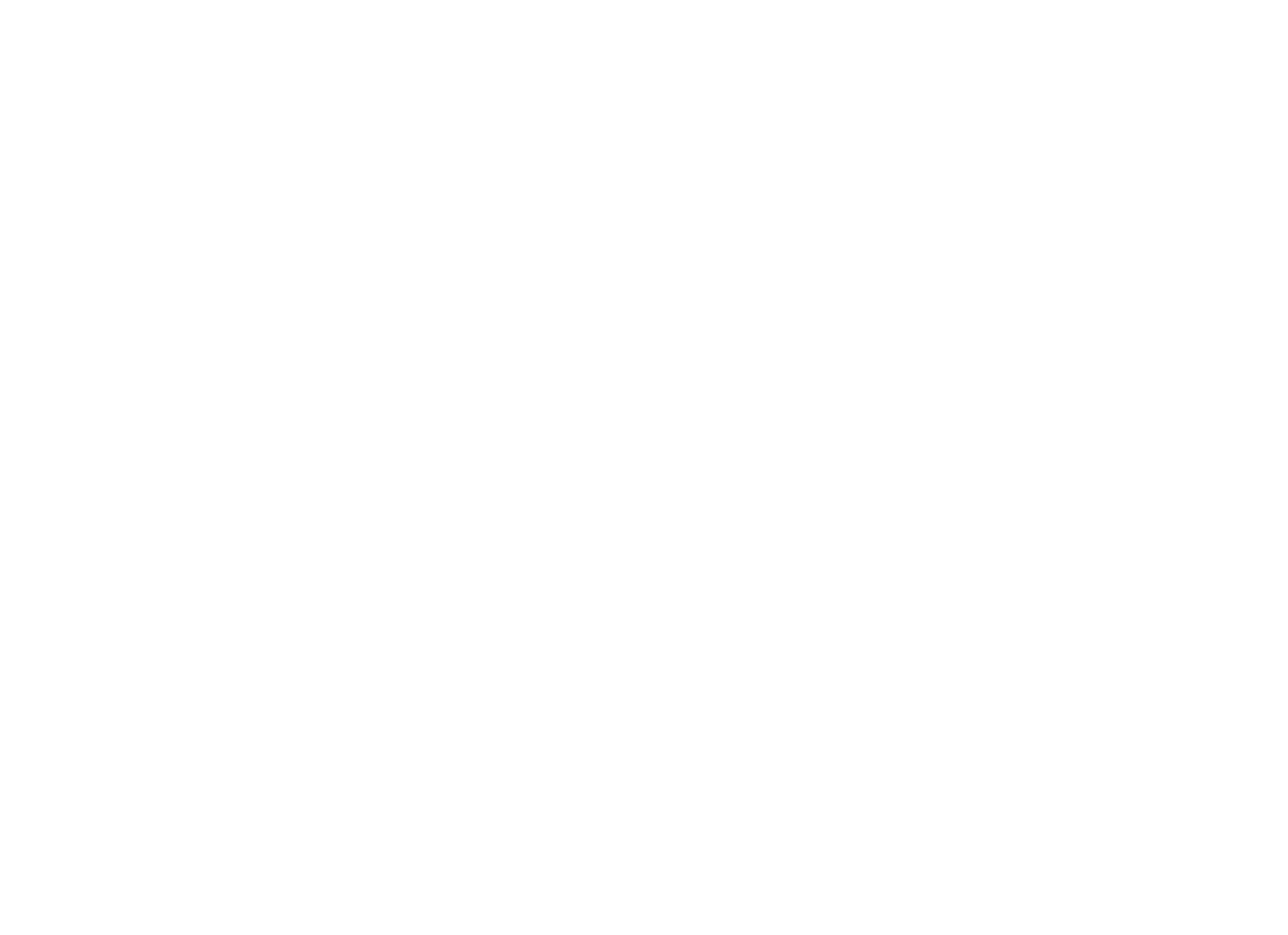 Chasseurs de Daesh : la grande traque