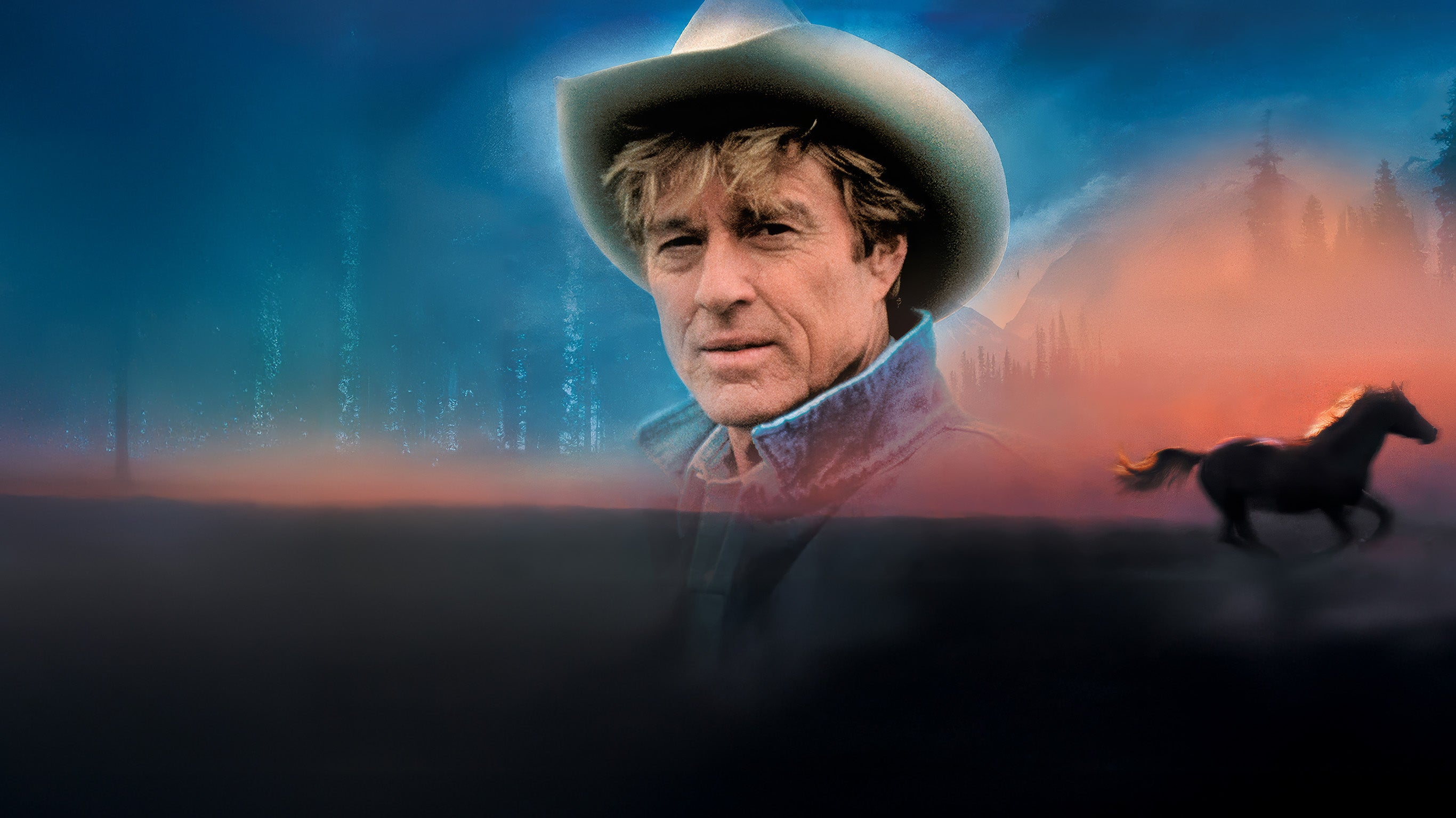 L'homme qui murmurait à l'oreille des chevaux