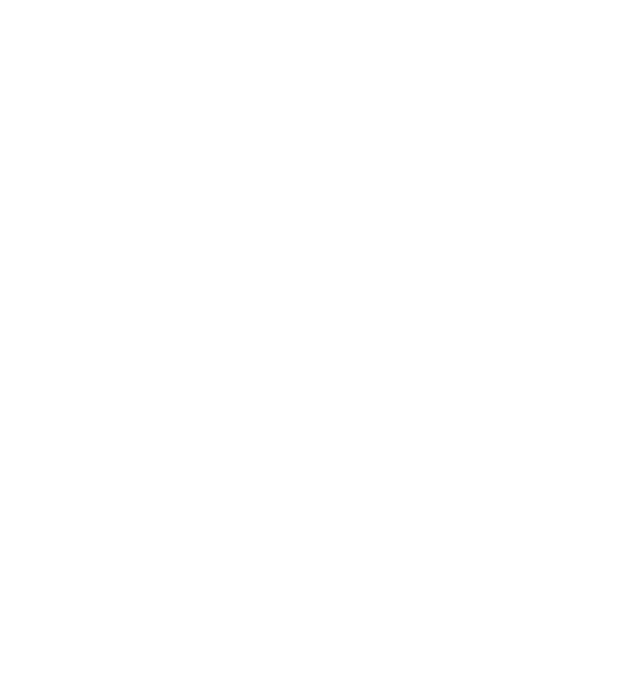 Opération Apagan, exfiltrer Kaboul