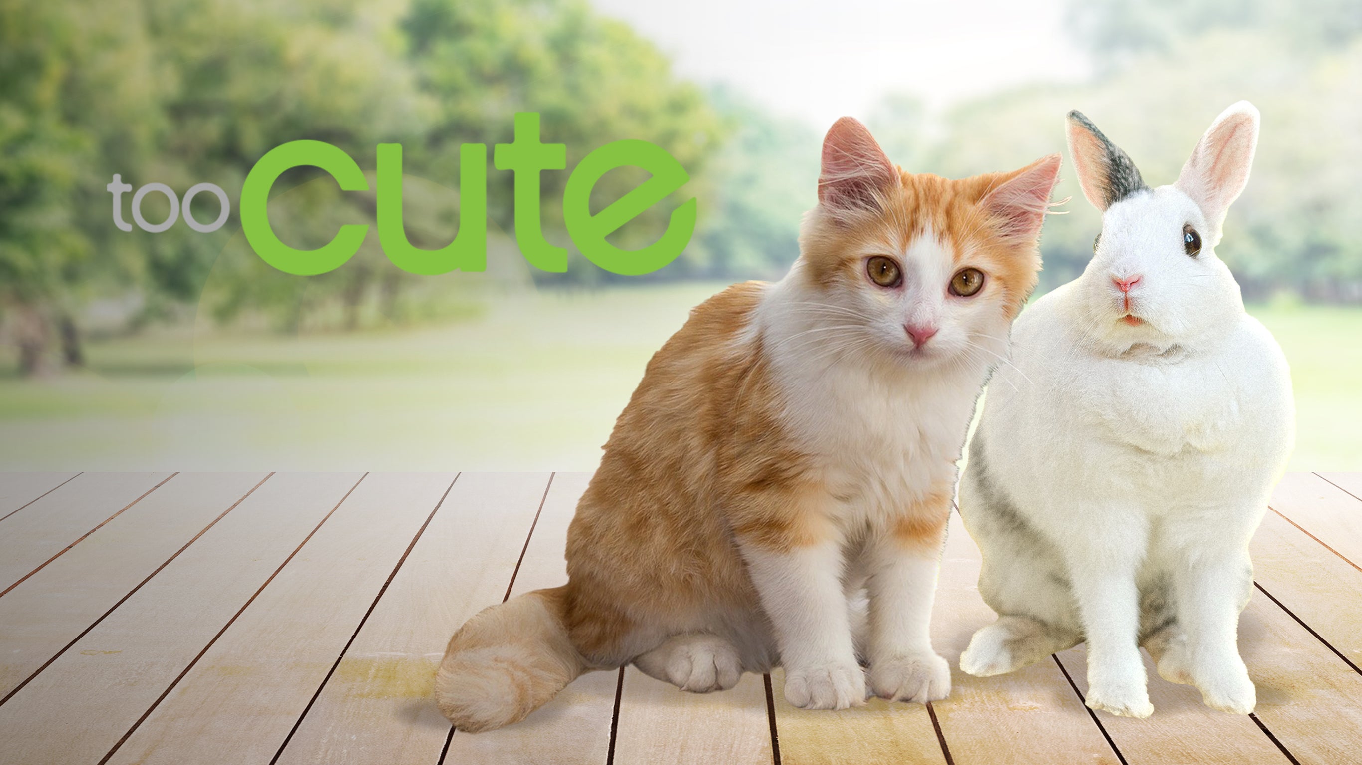 Too cute (Trop mignon)