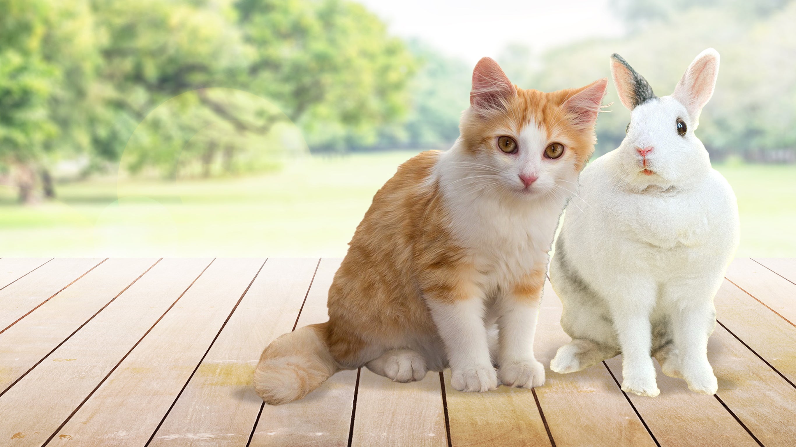 Too cute (Trop mignon)