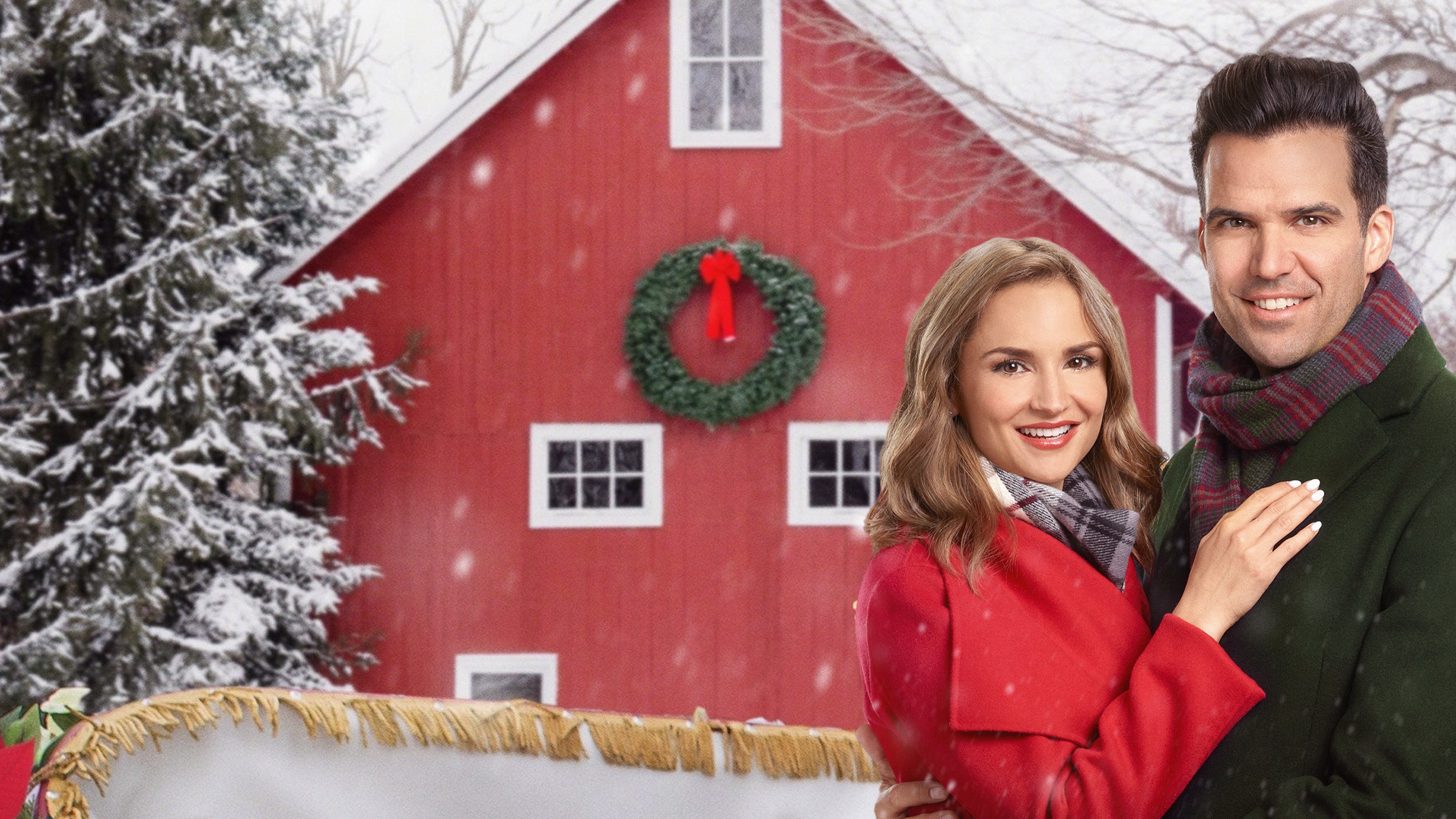 Le coup de cœur de Noël