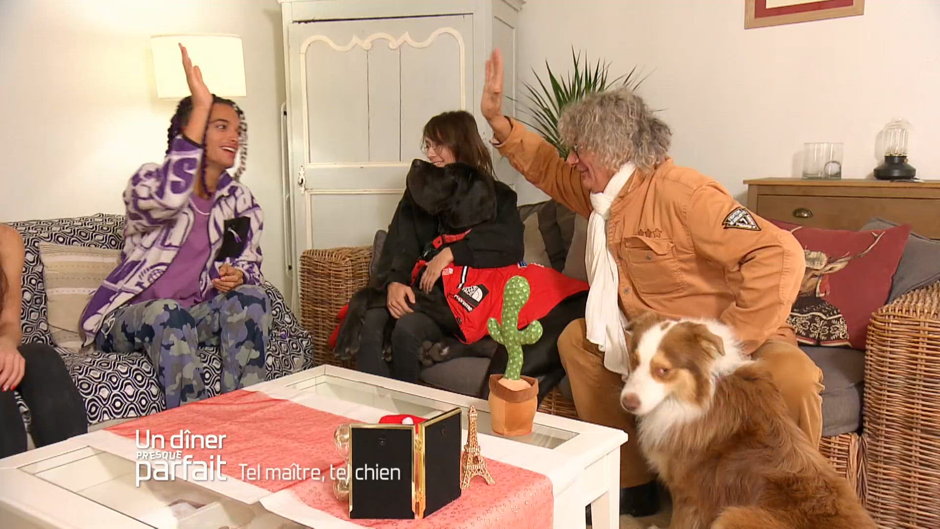 J5 : Tel maître, tel chien