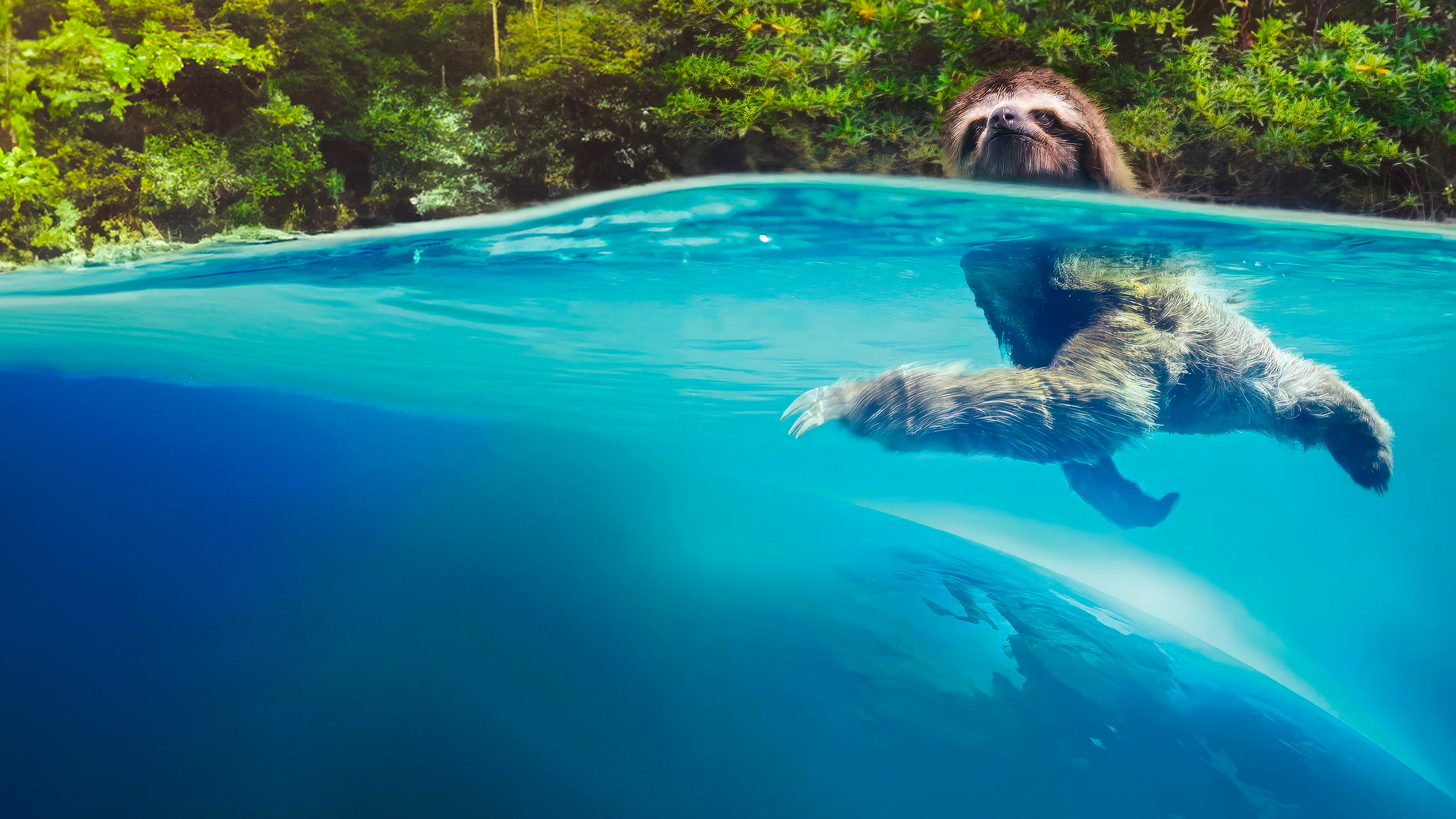 Un nouveau jour sur Terre