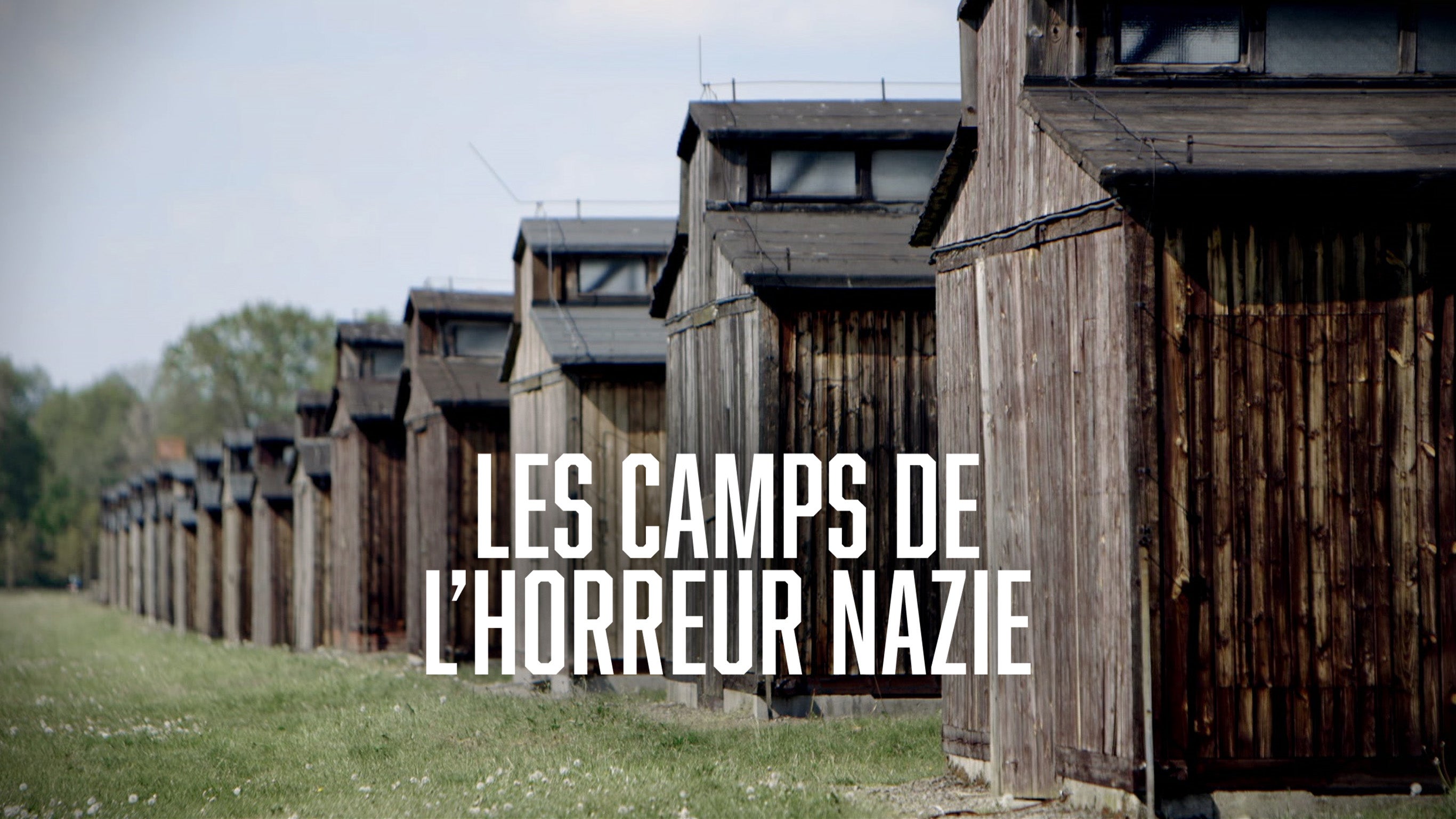 Les camps de l'horreur nazie