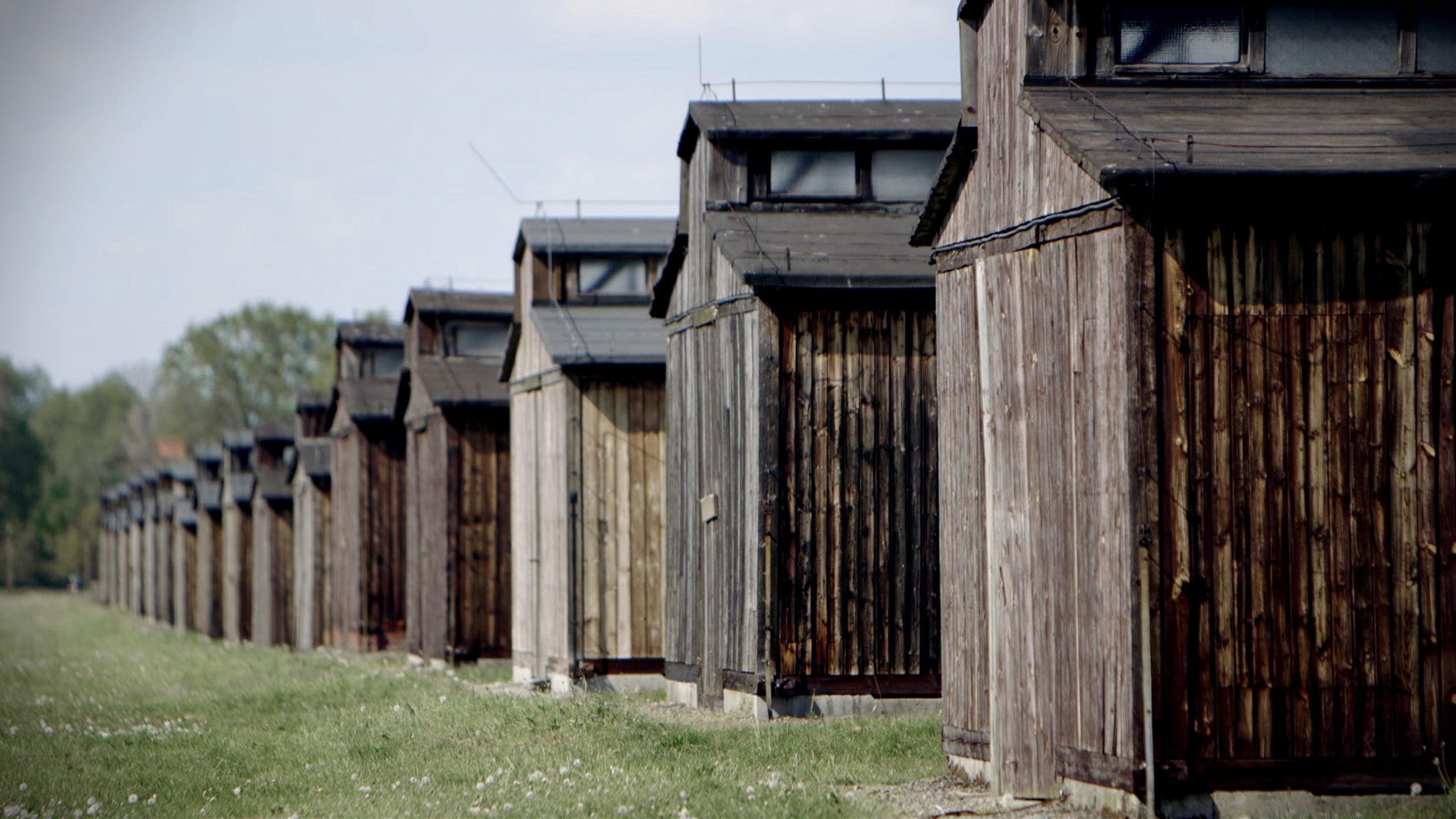 Les camps de l'horreur nazie