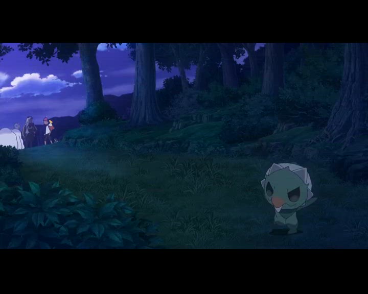 L'avis de tempête de Zapétrel