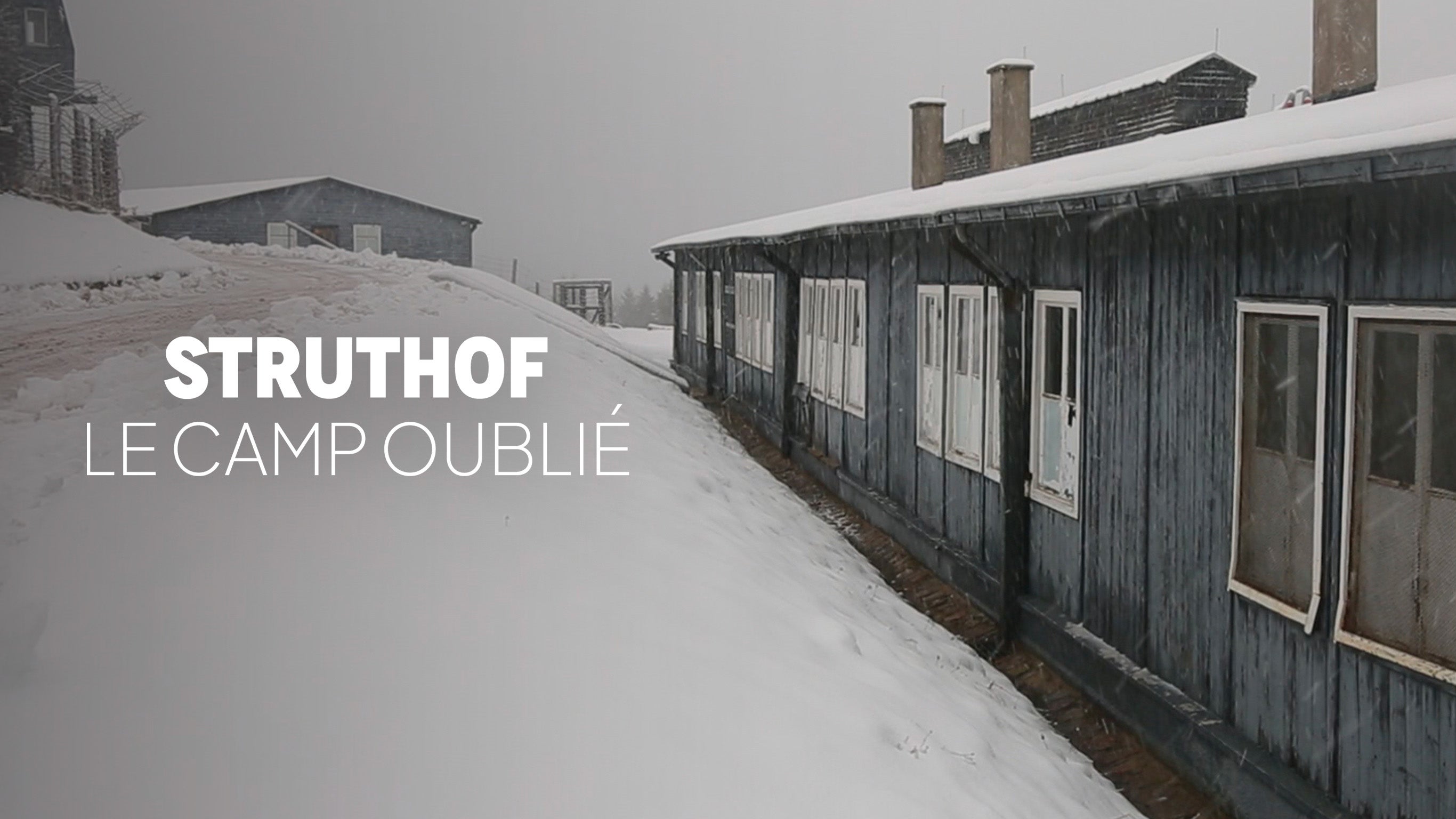 Struthof, le camp oublié