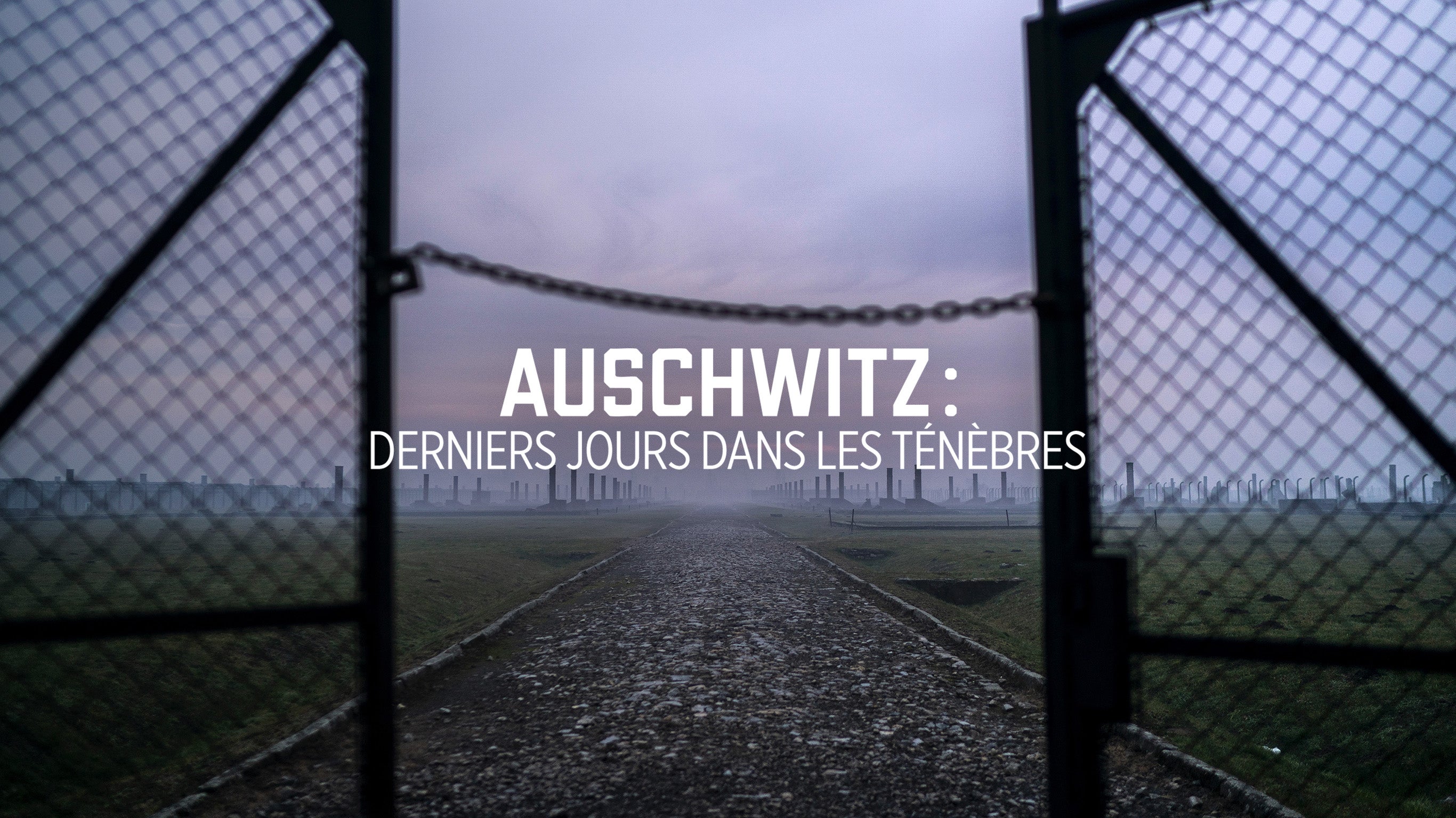 Auschwitz : derniers jours dans les ténèbres