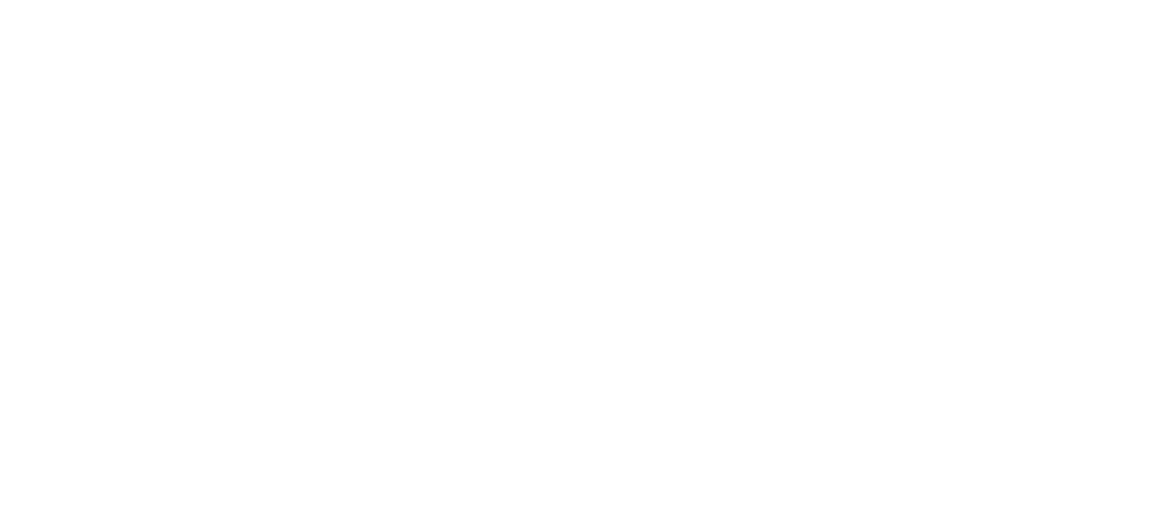 Casse-Noisette et le Roi des souris