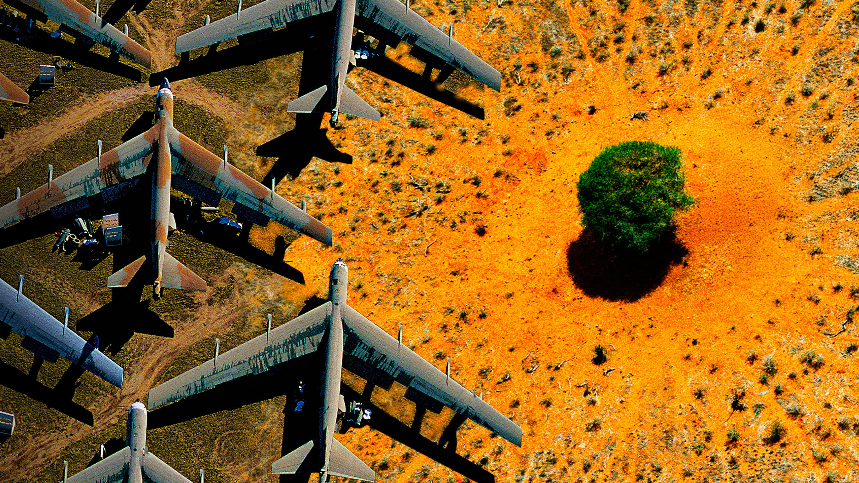 Nature : pour une réconciliation