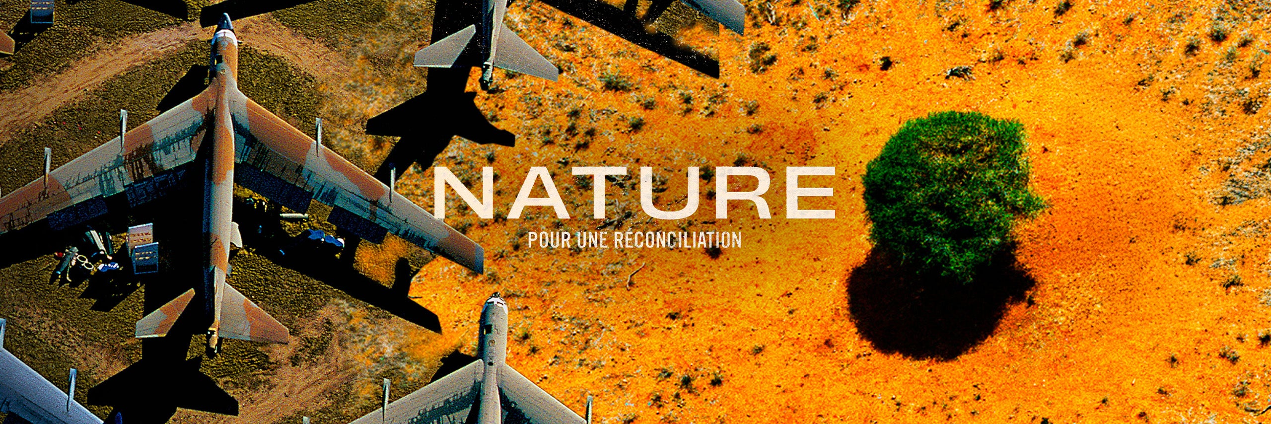 Nature : pour une réconciliation