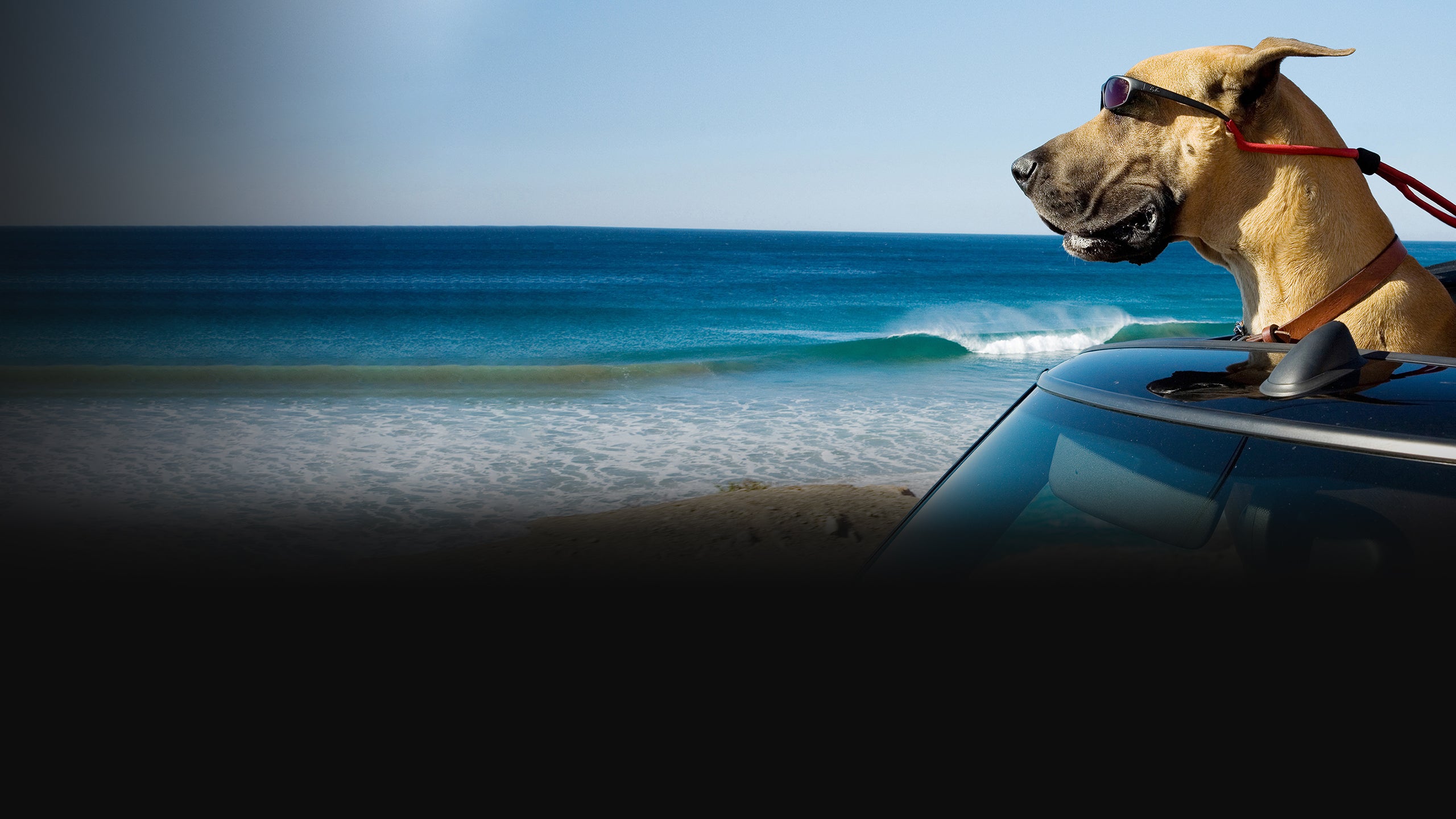 Marmaduke – A kutyakomédia