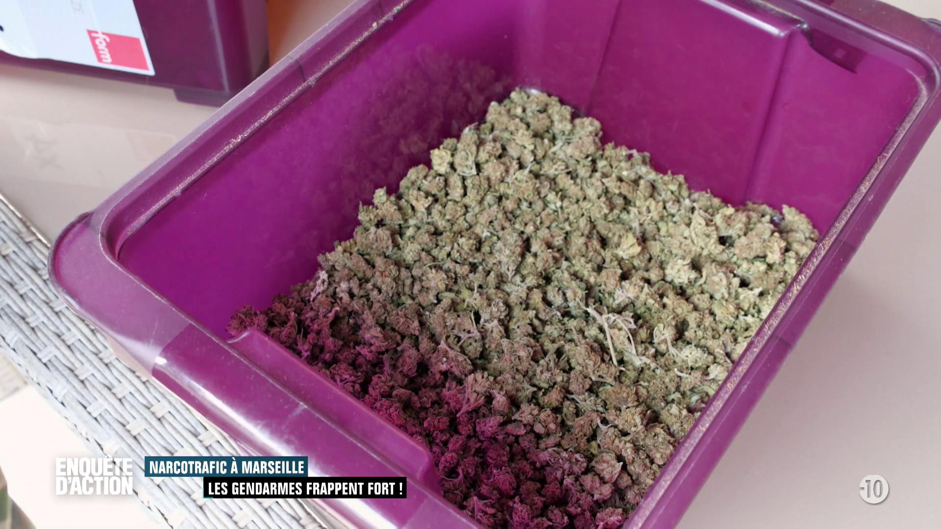 Narcotrafic à Marseille : les gendarmes frappent fort !