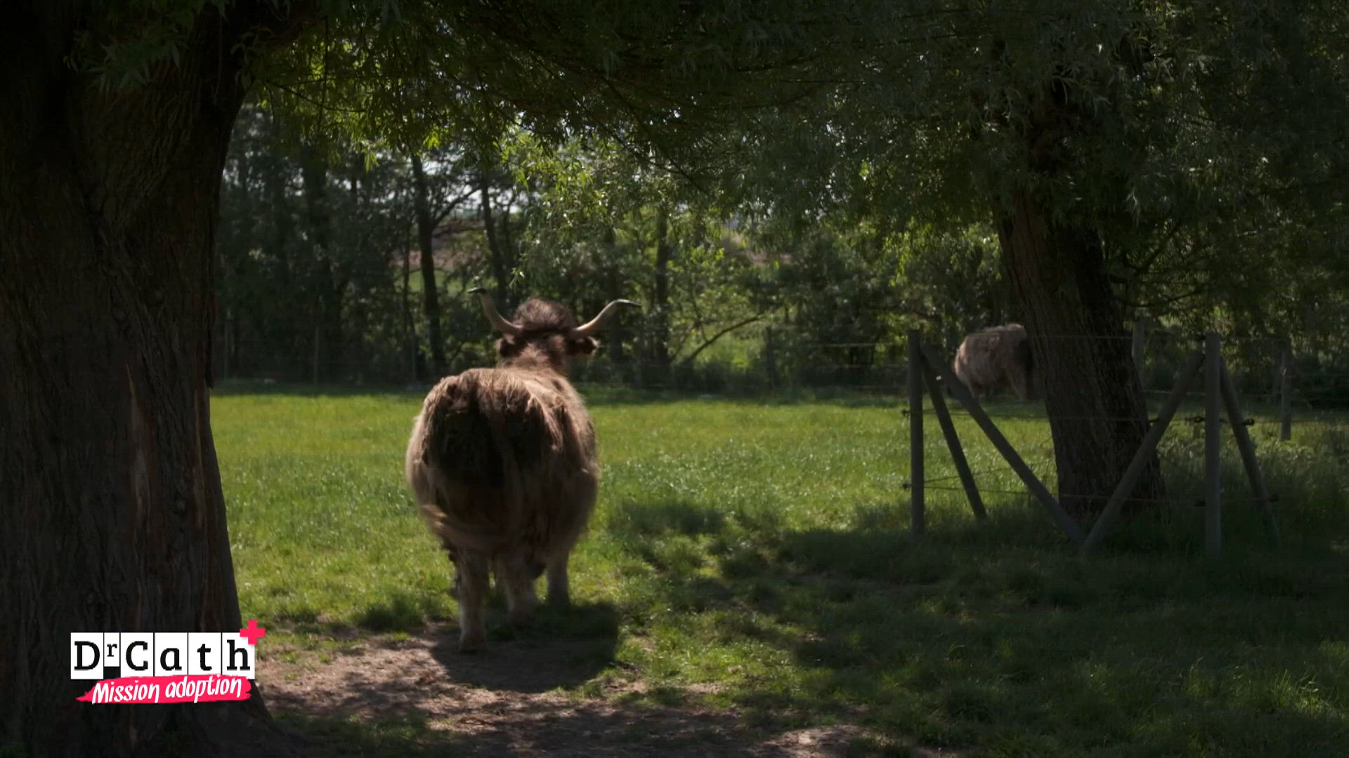 S3 E7