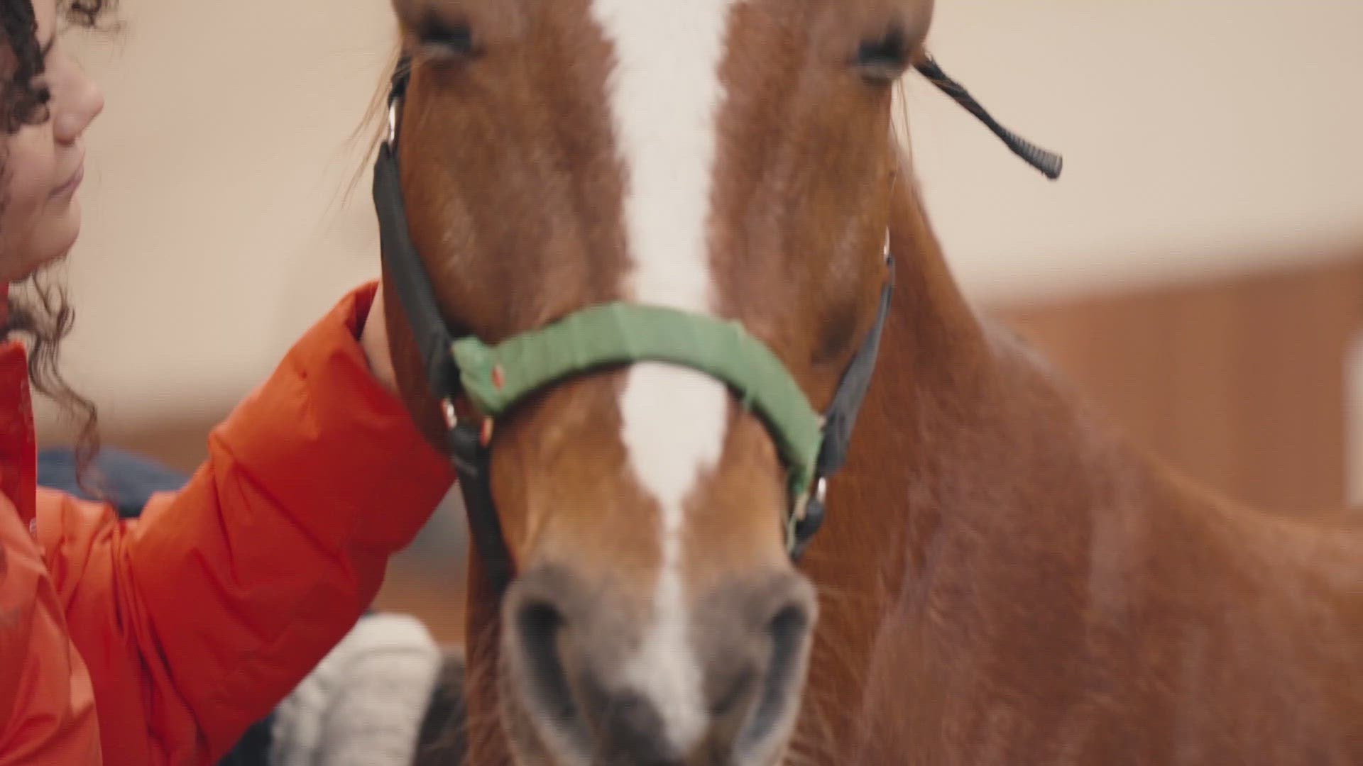 Coulisses du portrait de Malissa, équithérapeute au Club hippique de Versailles