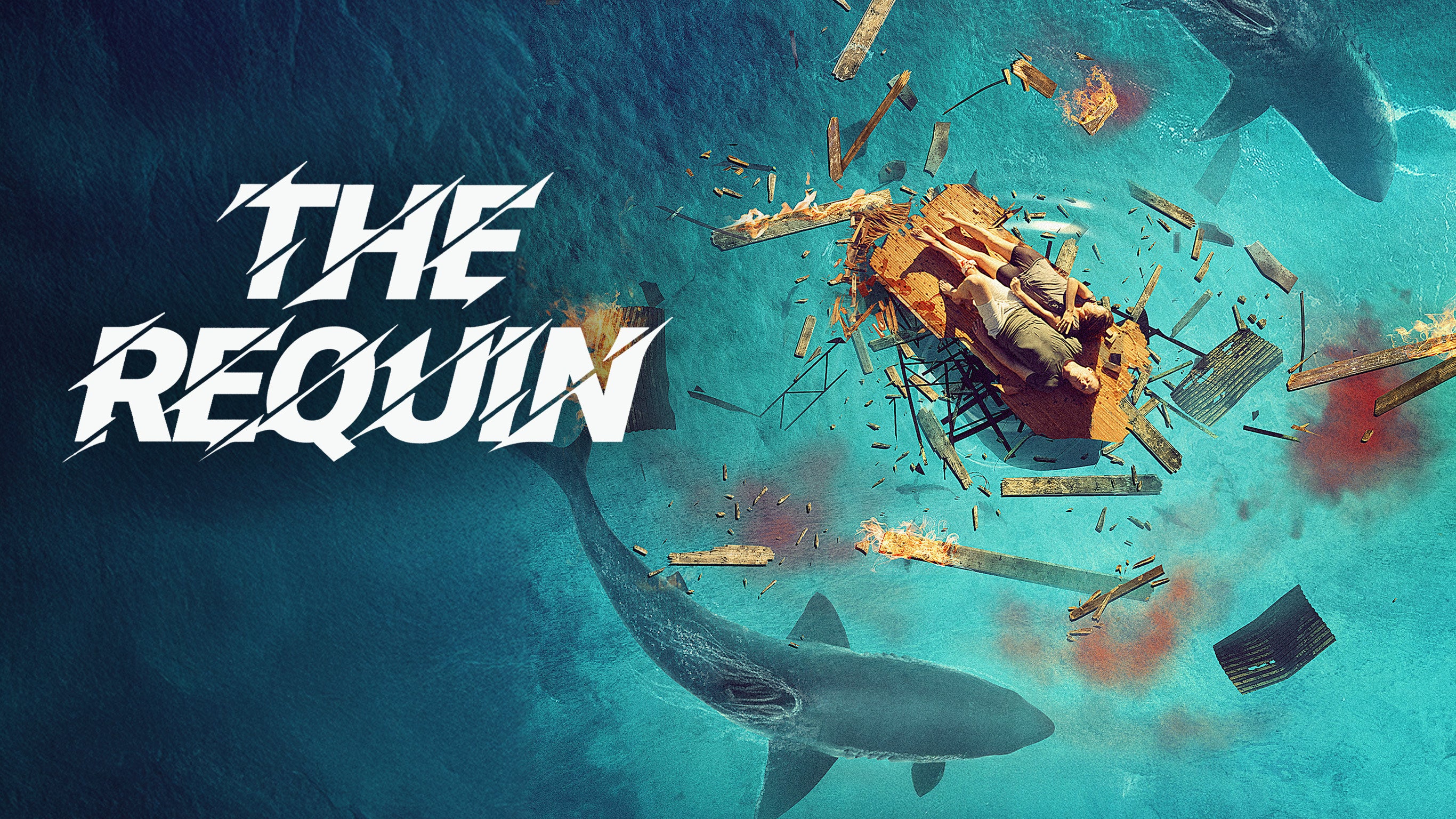 The requin