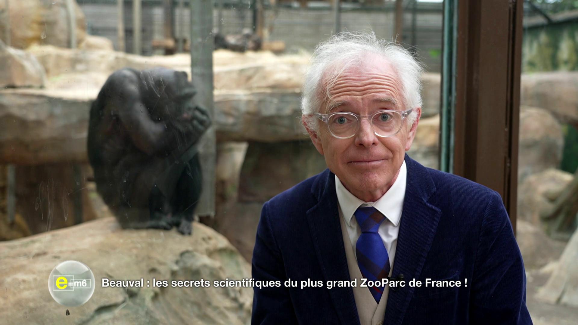 Beauval : les secrets scientifiques du plus grand zooparc de France