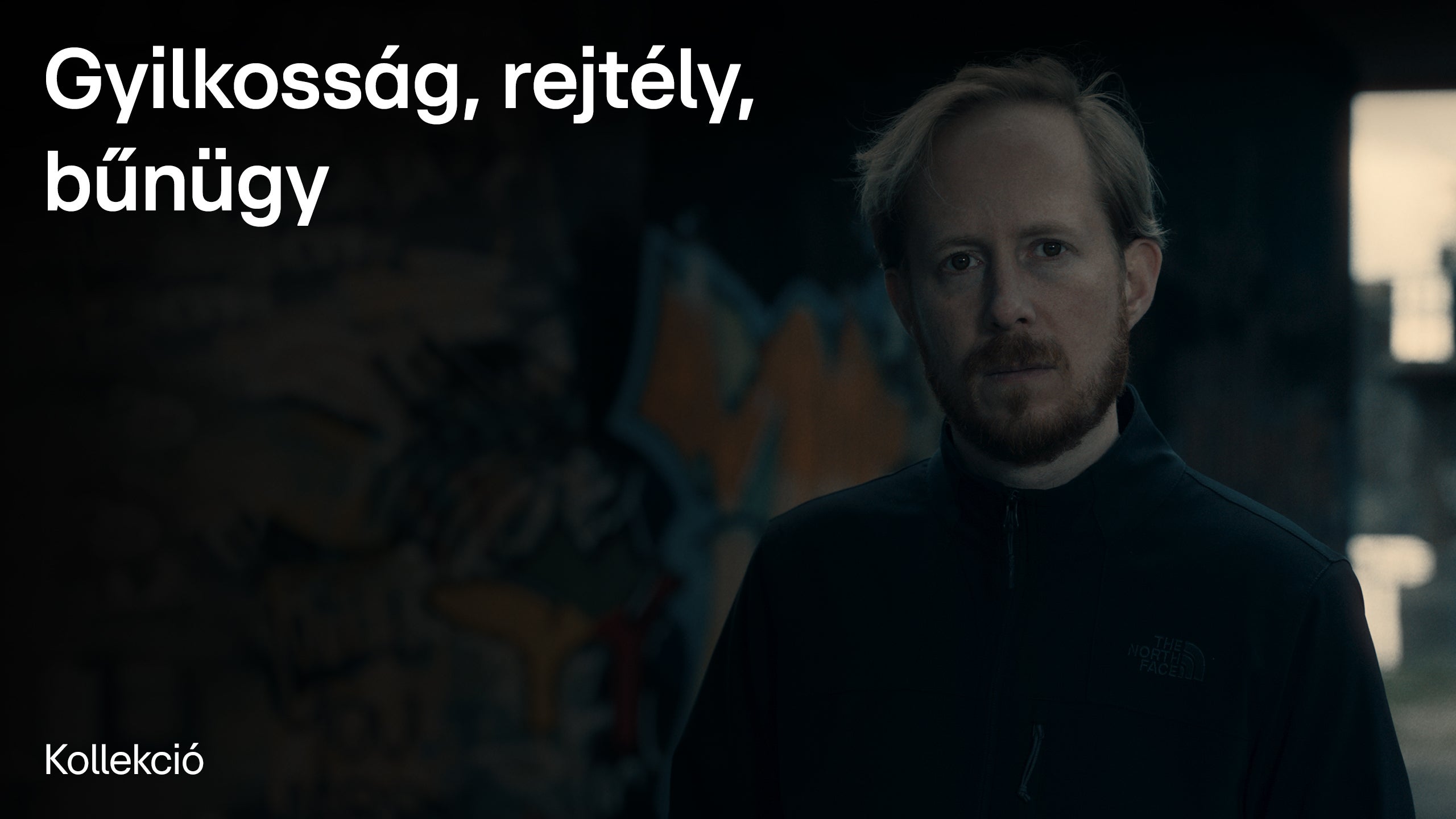 Gyilkosság, rejtély, bűnügy