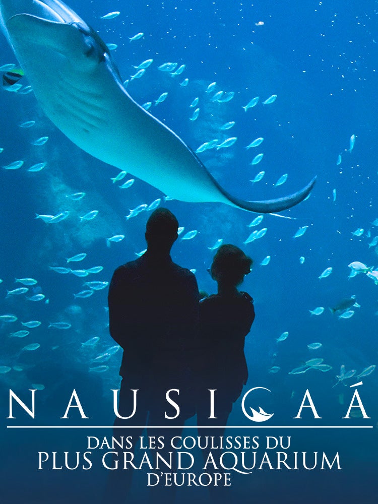 Nausicaà : dans les coulisses du plus grand aquarium d'Europe