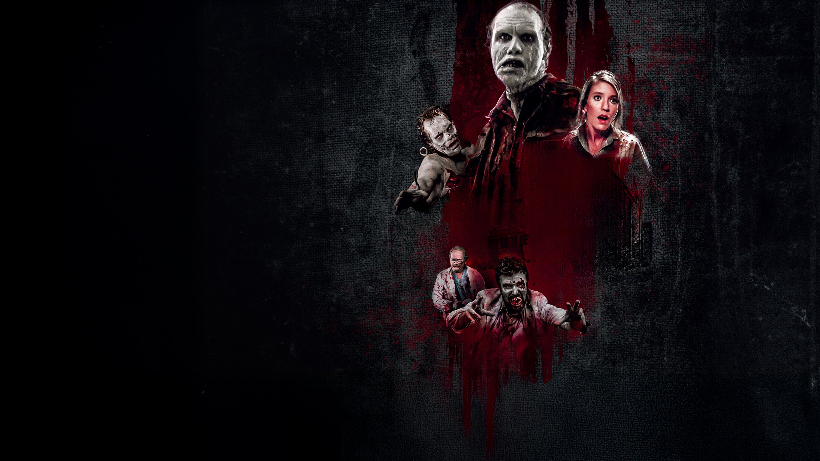 Le jour des morts-vivants