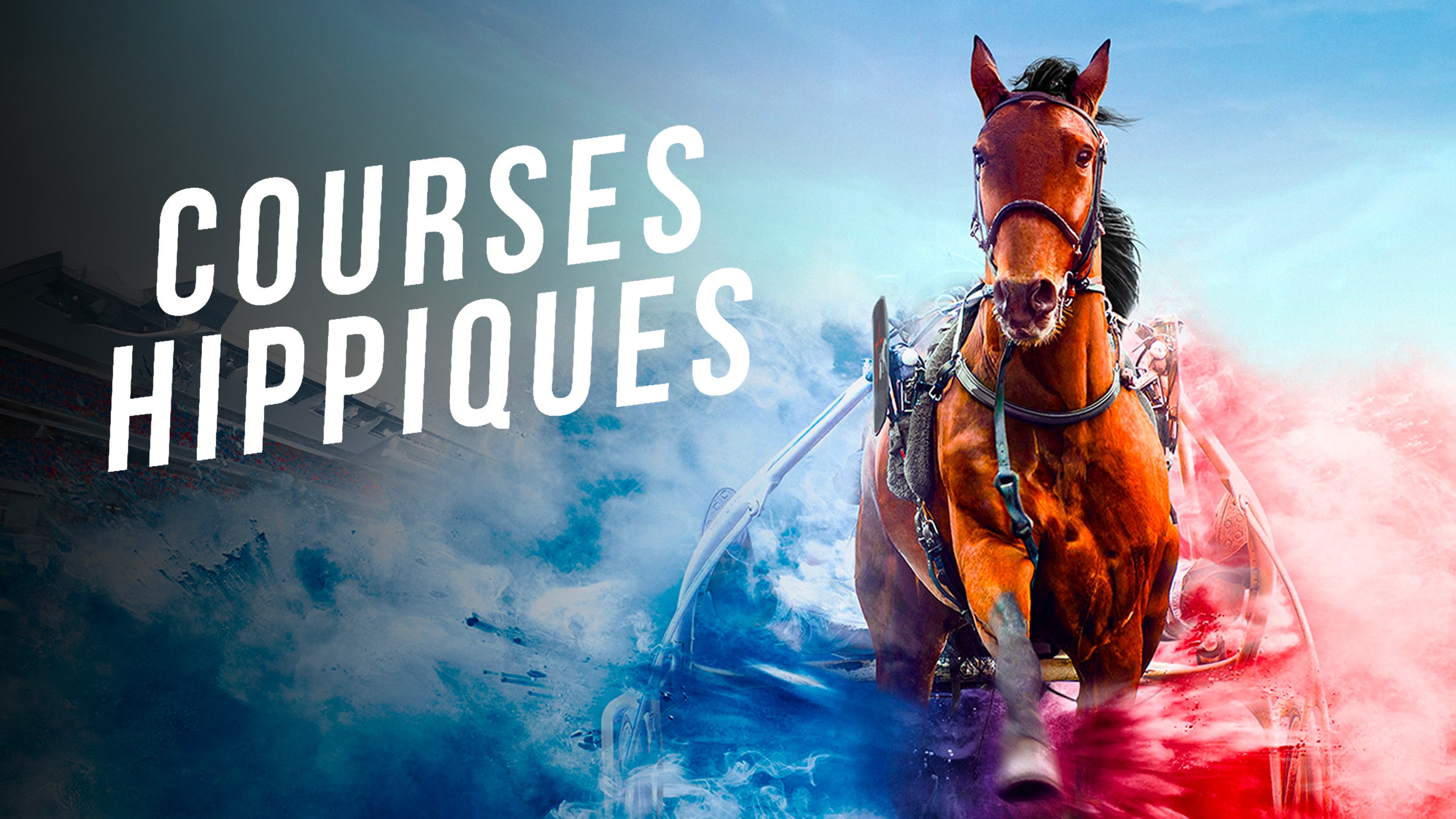 Courses hippiques