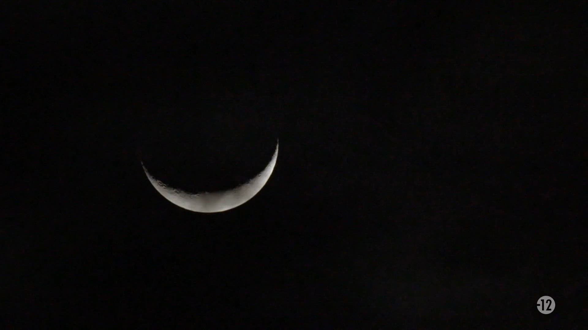 S8 E1 - Cette saison, c'est open bar (1/2)