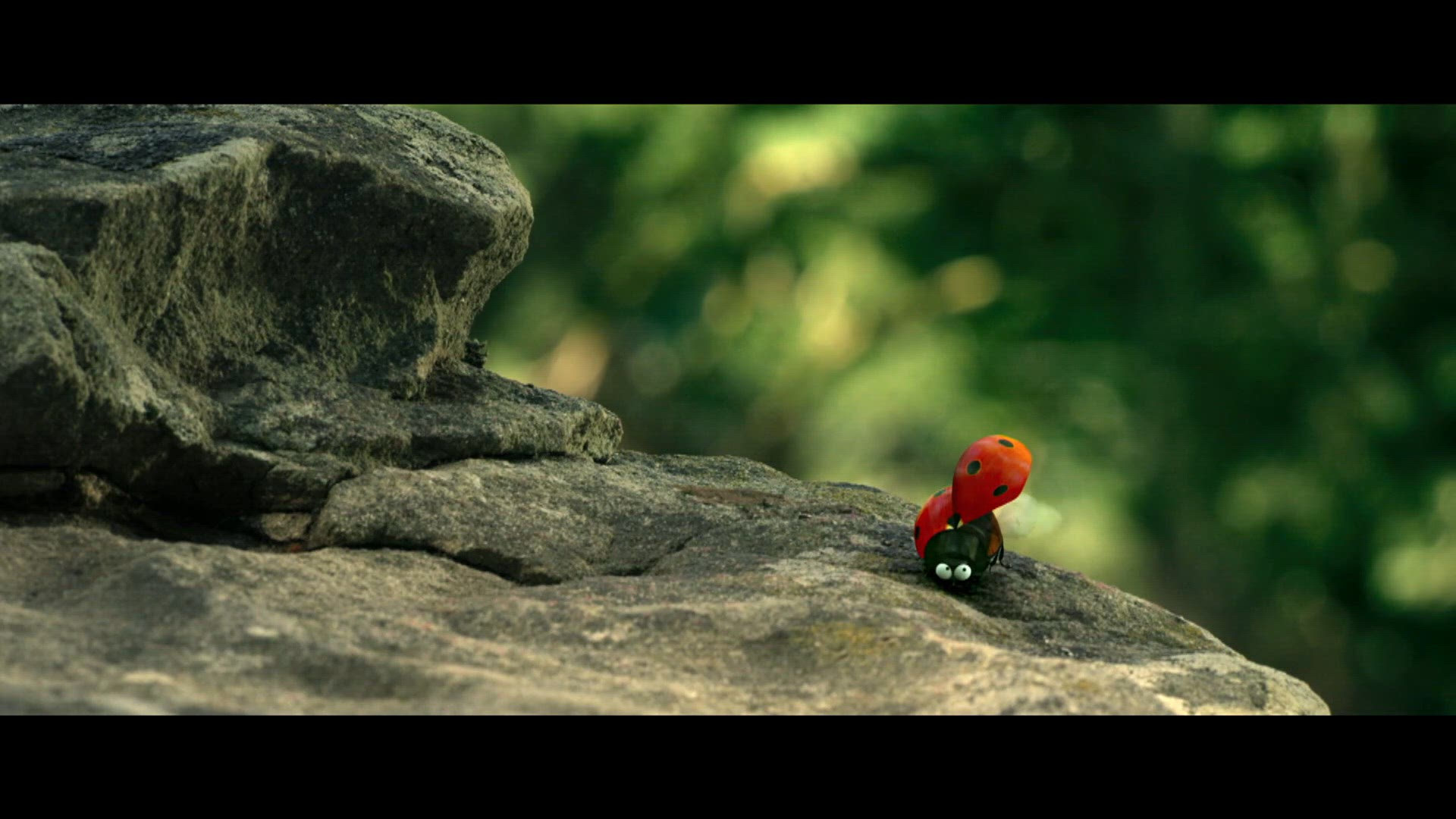 Minuscule : la vallée des fourmis perdues