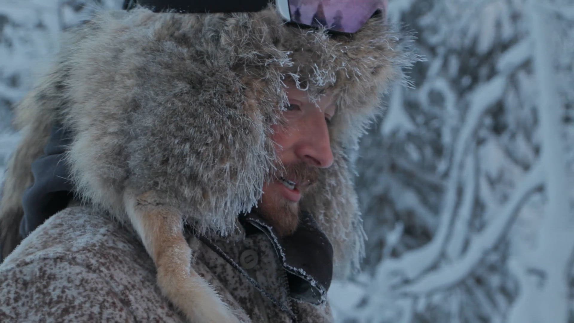 2. rész - Fellendülés vagy pofára esés