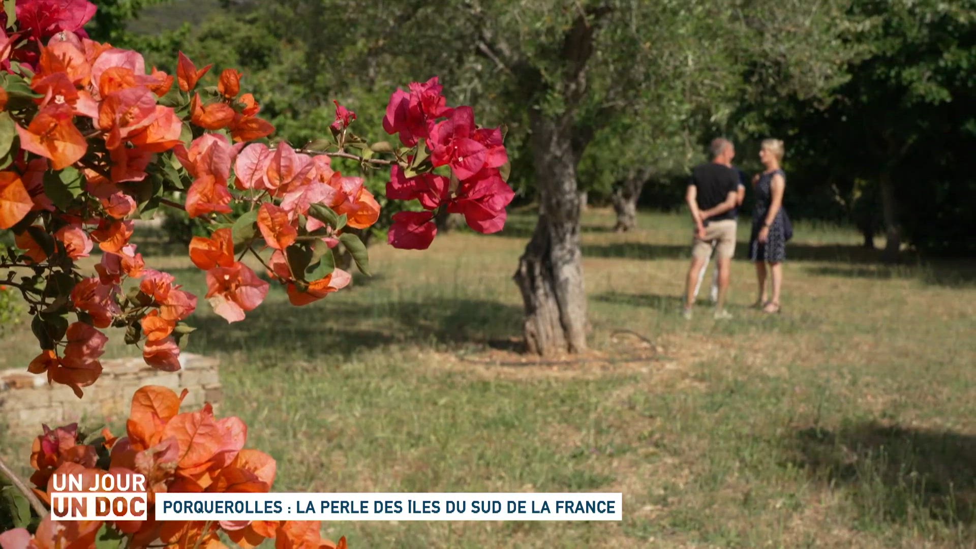 Porquerolles : la perle des îles du sud de la France