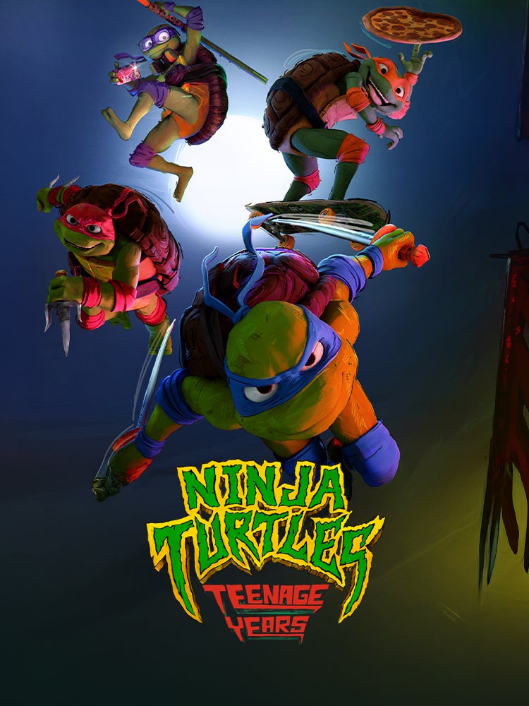 Ninja Turtles : Teenage years
