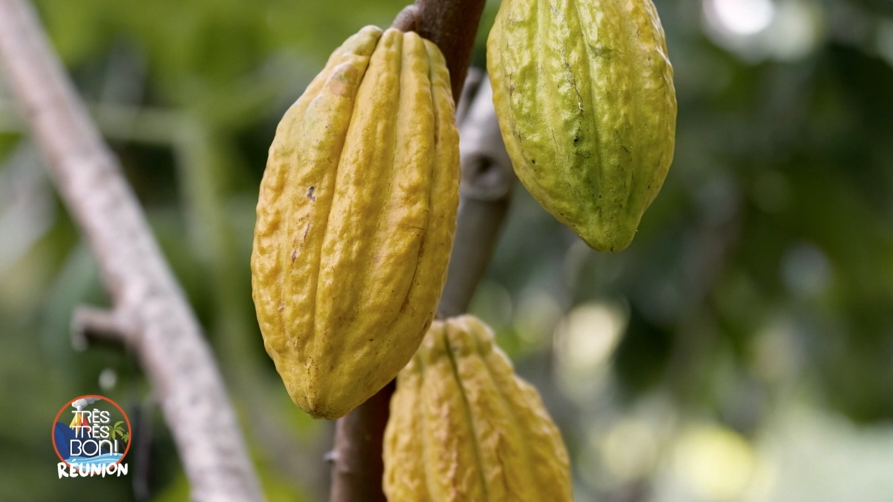 Très très bon à la Réunion