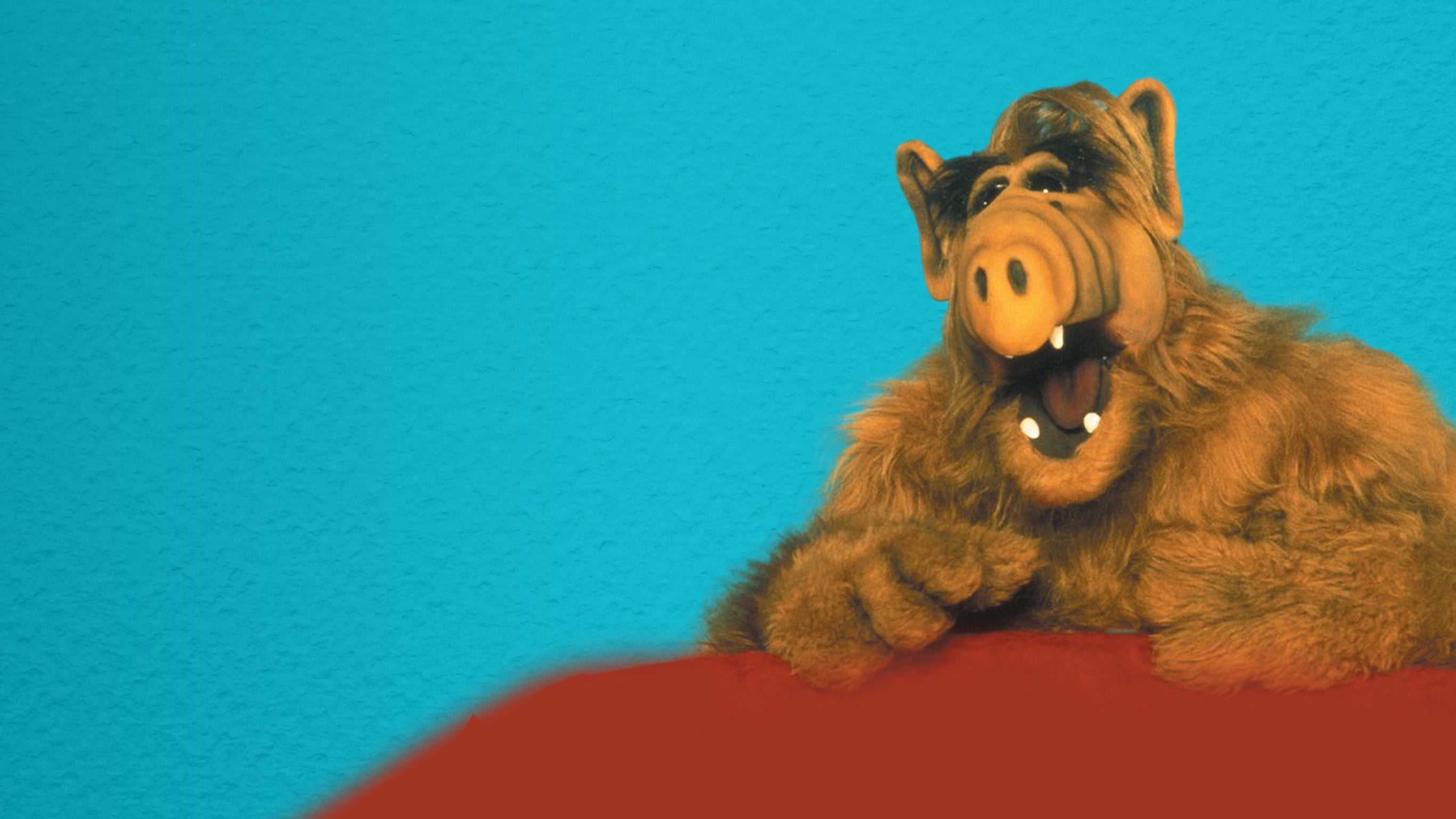 Alf