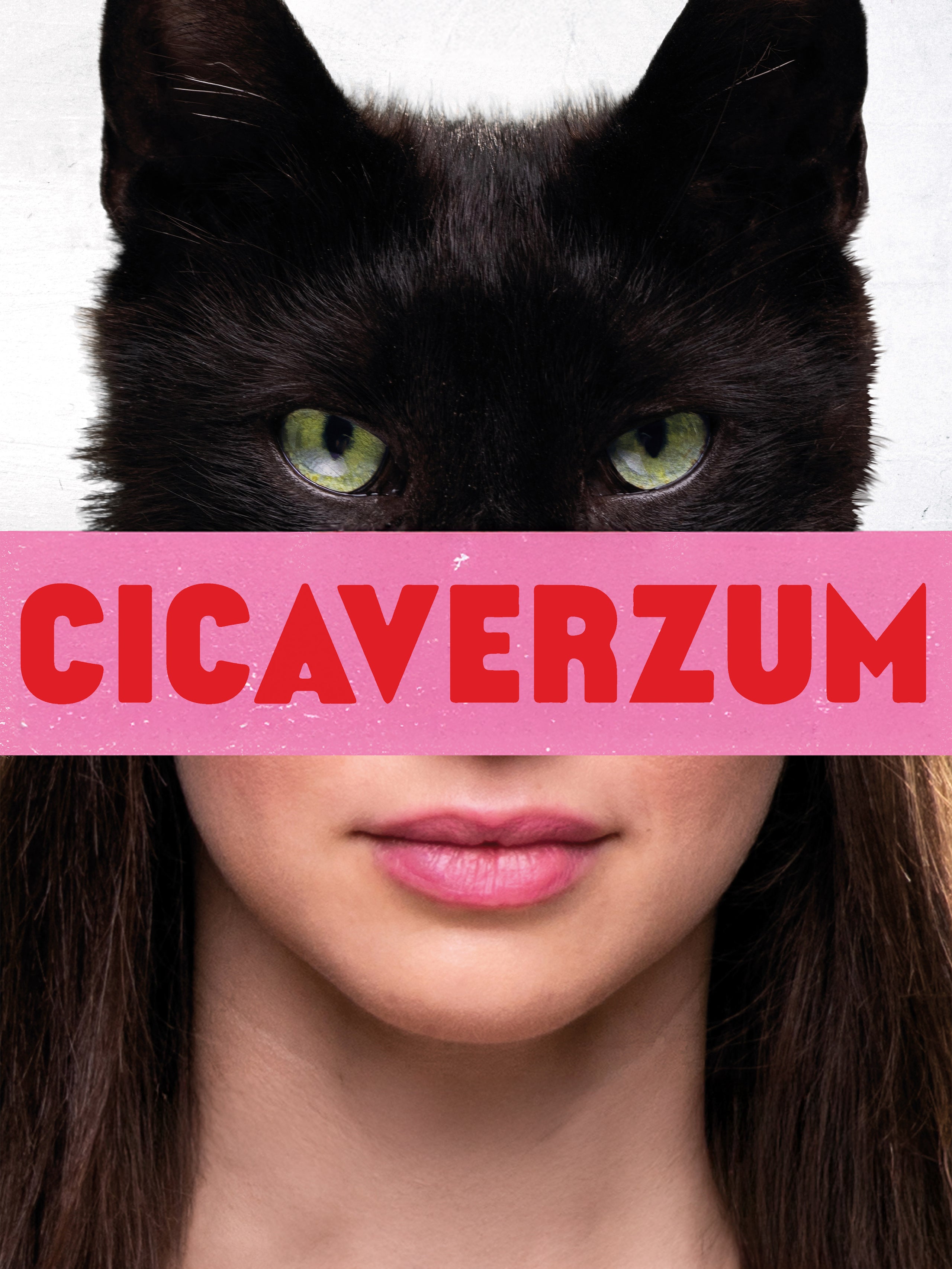 Cicaverzum