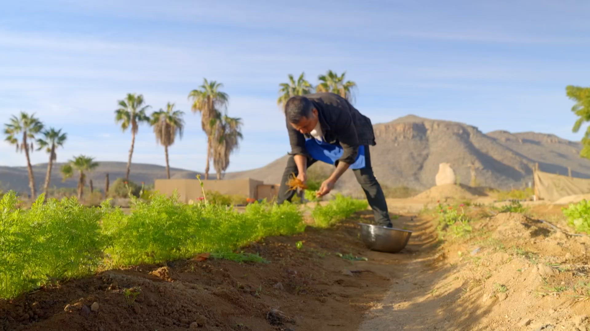 Résidences d'exception