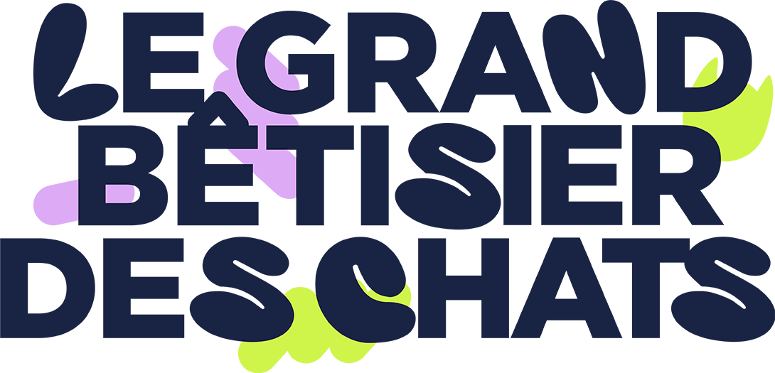 Le grand bêtisier des chats