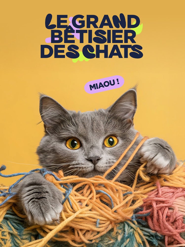 Le grand bêtisier des chats