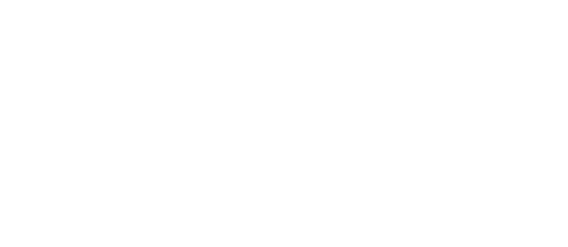 Disparue dans la nuit