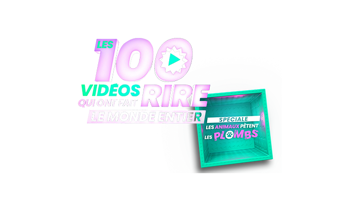 Les 100 vidéos qui ont fait rire le monde entier - spéciale les animaux pètent les plombs