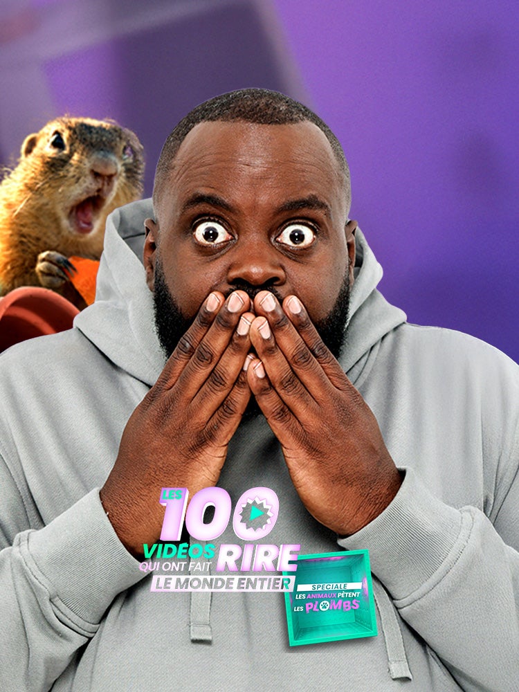 Les 100 vidéos qui ont fait rire le monde entier - spéciale les animaux pètent les plombs