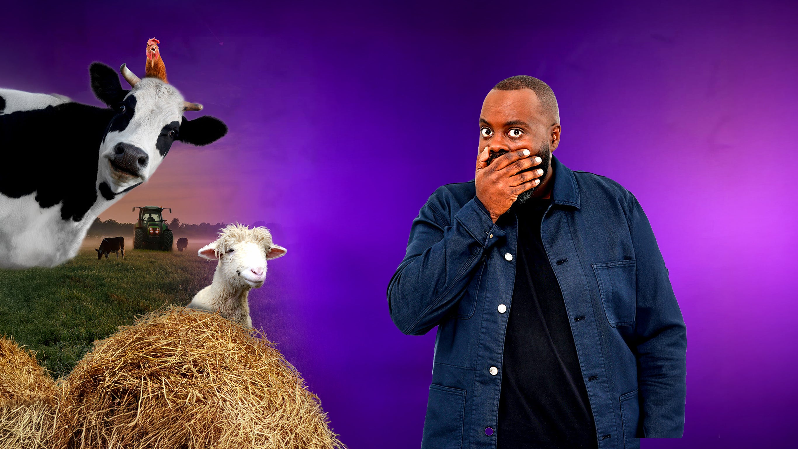 Les 100 vidéos qui ont fait rire le monde entier - spéciale la ferme en folie