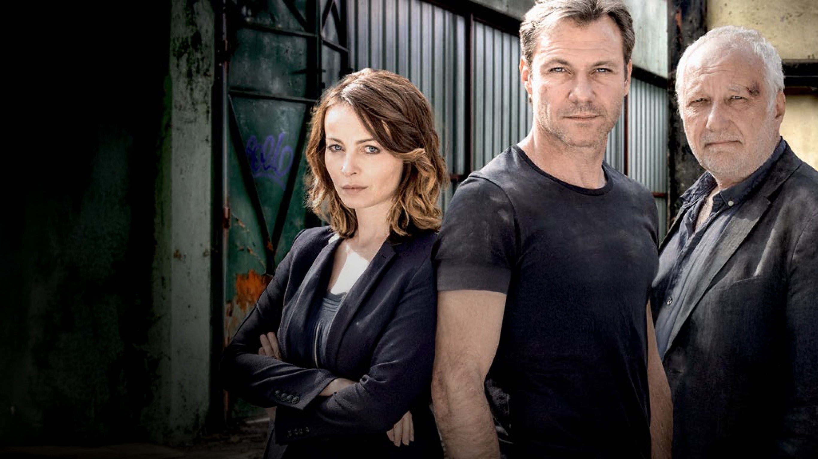 Le Transporteur - la série